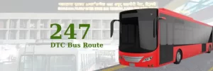 247 DTC Bus Route